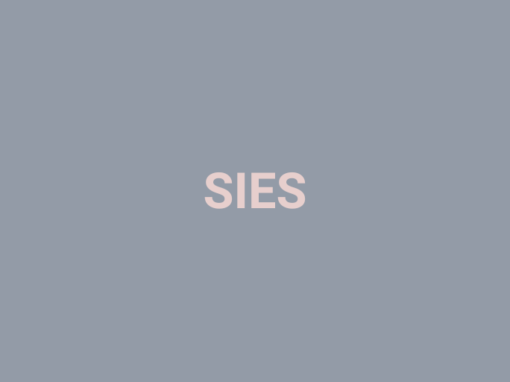 SIEs: Servei d’Informació Especialitzada