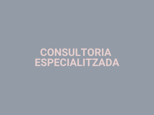 Consultoria especialitzada