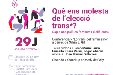 Què ens molesta de l’elecció trans*?